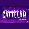 Stasera c'e' Cattelan